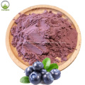 resilient health wild blueberry powder